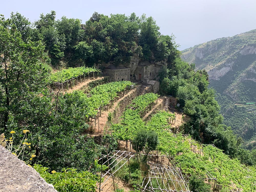 Amalfi Coast Robert Camuto