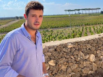 At Masseria Li Veli in Puglia, general manager Alessandro Falvo oversees a lineup of wines made from varieties ranging from popular Primitivo to rarer Susumaniello.                                                                (Robert Camuto)
