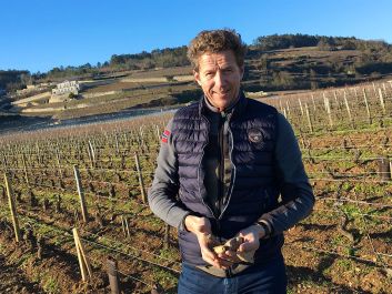 David Duband in Aux Thorey in Nuits-St.-Georges                                                                (Robert Camuto)