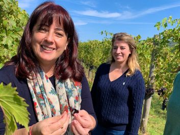 When sampling grapes in the vineyard at Le Potazzine, Gigliola Giannetti and her daughters Viola and Sofia (from left to right) examine the viscosity of the juice, not just the taste and chemical analysis.                                                                (Robert Camuto)