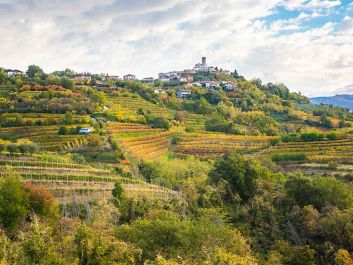 Hillside vineyards in Brda, Slovenia                                                                (Damijan Simčič/ZOSO photography)