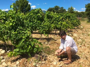 Frederic Chaudière shows the stony soils at Château Pesquie, where Syrah, Grenache and other traditional Rhône varieties thrive.                                                                (Robert Camuto)