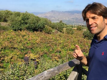 Producer Michele Faro in an old “pre-phylloxera” vineyard on Sicily’s Mount Etna: “I buy monuments.”                                                                (Robert Camuto)