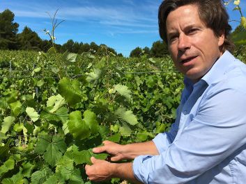 A more manly rose: Eric de Saint Victor in a vineyard that he uses for his concentrated, 100 percent Mourvèdre Nuances cuvee.                                                                (Robert Camuto)