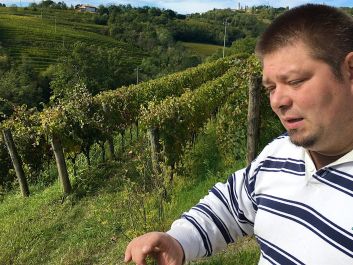 Saša Radikon finished his first solo harvest following the death of his father, Stanko, in September.