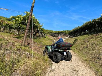 From his Soave Classico vineyards, Graziano Prà makes a range of white wines, including a single-vineyard bottling, a single-variety bottling and a traditional passito.                                                                (Robert Camuto)