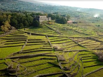 In the mid-1800s, Castello Solicchiata's vineyards were planted and its winery was built by the current owner’s great-great-grandfather.                                                                (Courtesy of Castello Solicchiata)