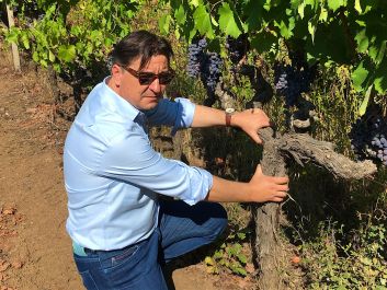 Davide Rosso calls Etna’s indigenous Nerello Mascalese “Mediterranean Nebbiolo.”                                                                (Robert Camuto)