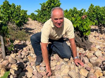 Vieux Telegraphe’s La Crau vineyard, planted by Daniel Brunier’s ancestors, is marked by the area's distinctive stones, known as galet roules.                                                                (Robert Camuto)