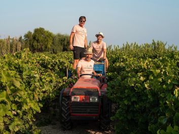 The Three Musketeers harvesting Grillo for Officina del Vento: Andrea Lonardi (standing), Gabriele Gorelli (wearing hat) and Pietro Russo (driving)                                                                (Walter Parrinella)