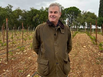 Stefano Inama continues to plant new parcels of Carmenère, such as this spring 2024 plot, to explore its expressions in different terroirs.                                                                (Robert Camuto)