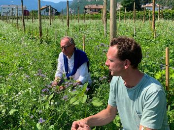 Can Assyrtiko thrive in Alto Adige? Should modern growers switch back to traditional vine-training techniques? Biodynamic winegrower Alois Lageder, now joined by his son, Alois Clemens Lageder, hasn't stopped experimenting in the vineyards or the cellar.                                                                (Robert Camuto)