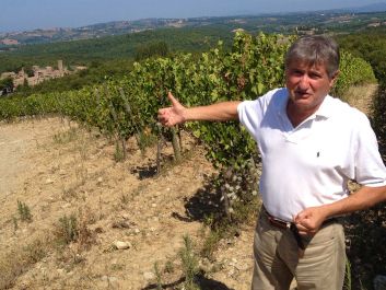 Chianti legend Paolo De Marchi in the vineyards of Isole e Olena                                                                (Robert Camuto)