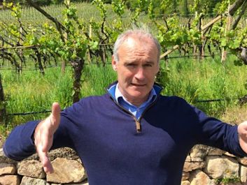 Cantina Tramin winemaker Willi Stürz is making Gewürztraminers for the long haul.                                                                (Robert Camuto)