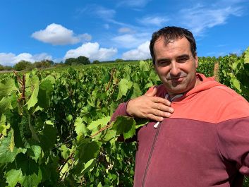 Jean-Marc Vincent's vineyards, which include several premier cru sites, are planted in terroirs that resemble those of more prestigious Burgundy appellations.                                                                (Robert Camuto)