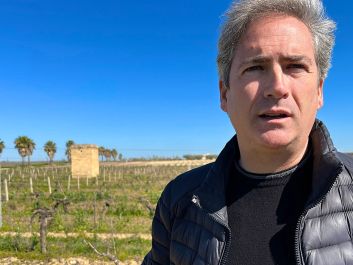 In the Samperi vineyard, the De Bartolis replanted entirely to Grillo, believing it made the highest-quality white wines in western Sicily. Today, Renato De Bartoli continues to use it for the winery's Marsalas and a range of other wines.                                                                (Robert Camuto)