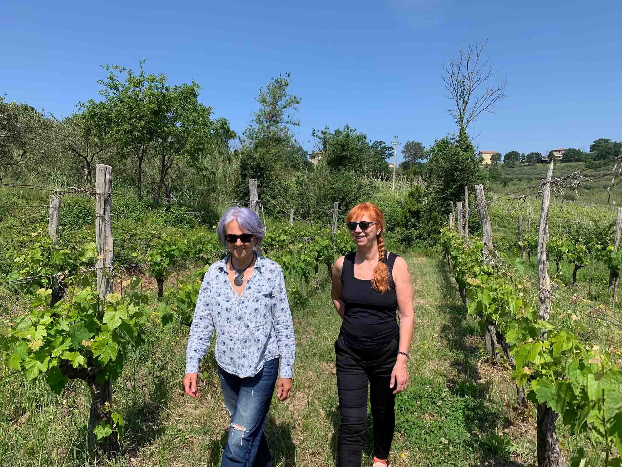 The Mustilli sisters of Falanghina vineyards