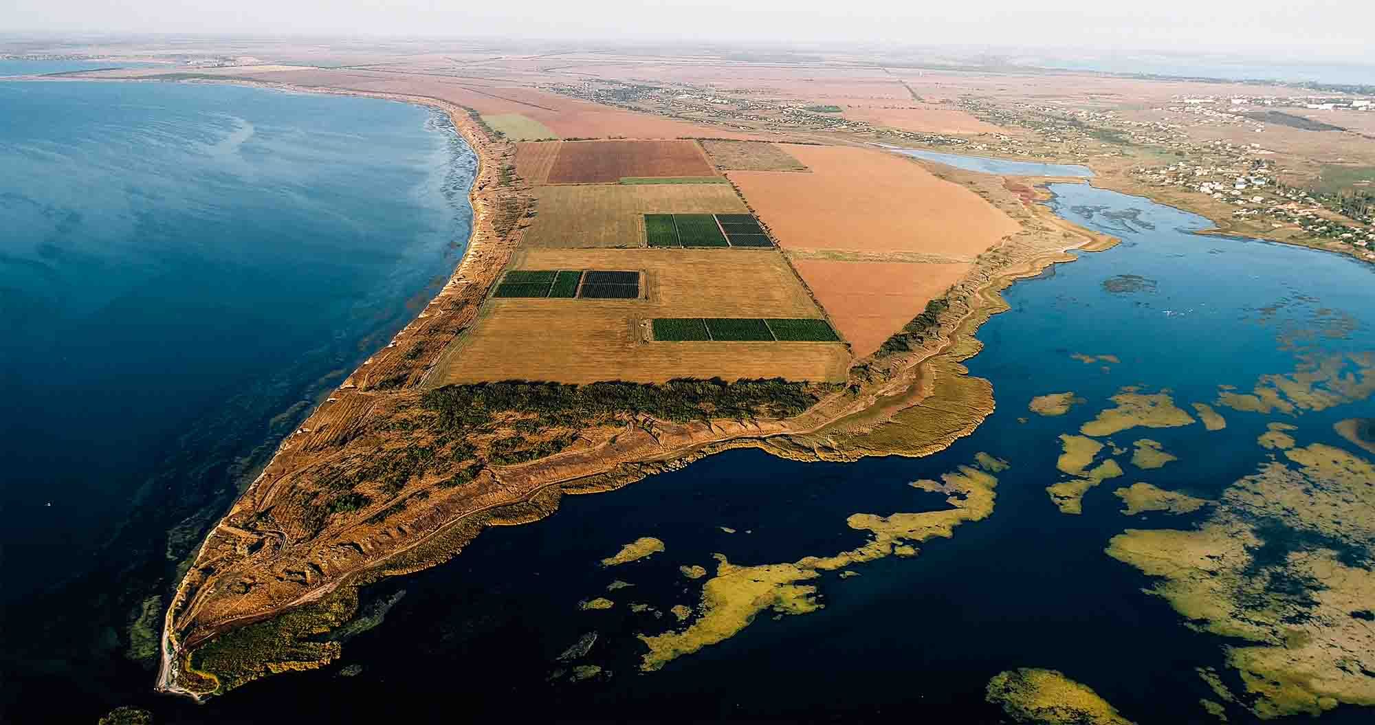 Black Sea vineyards of Beykush in Ukraine