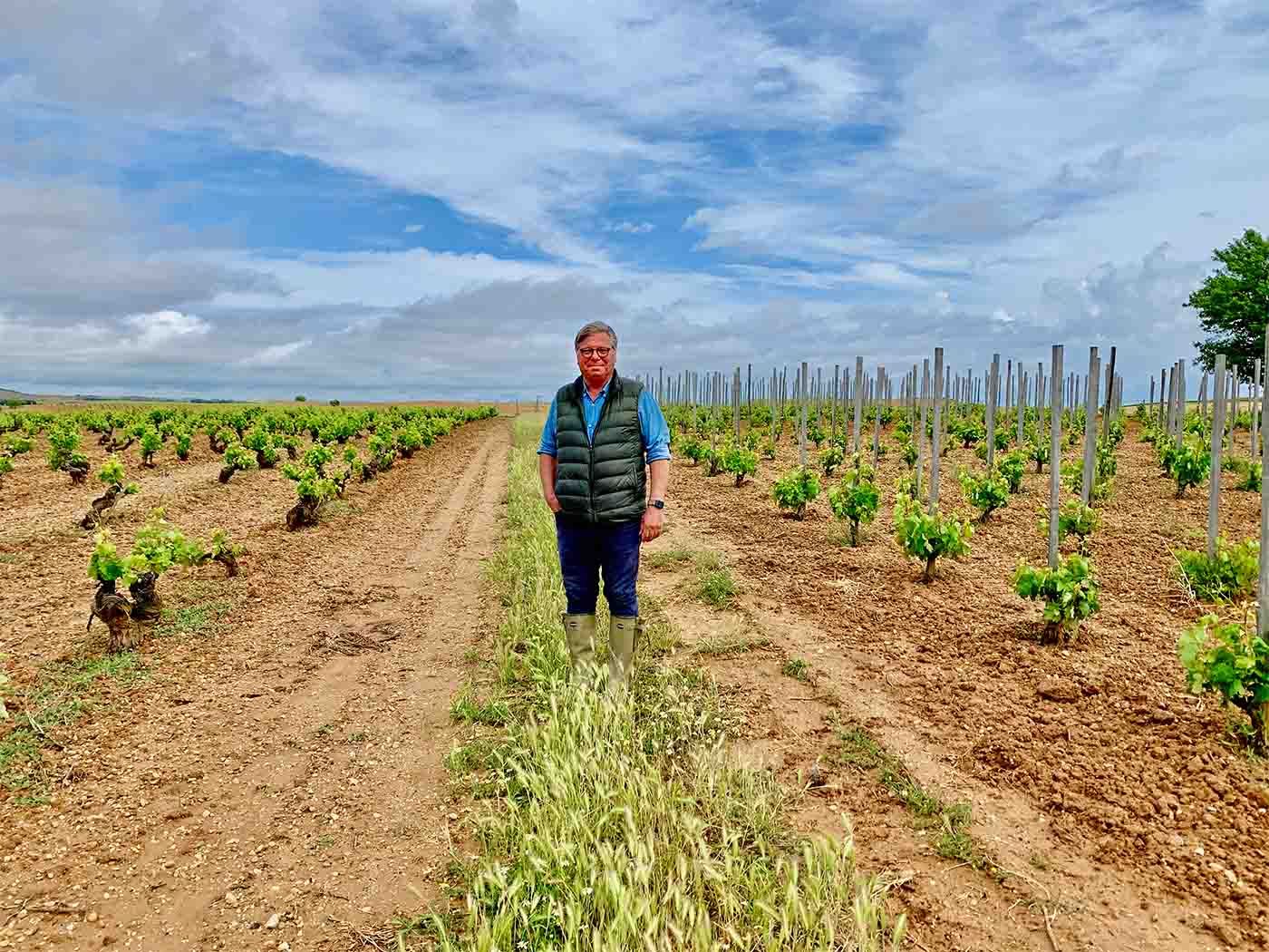 Peter Sisseck of Pingus standing in the vinyard